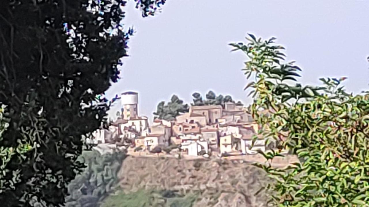 B&B I Tre Ulivi Morro dʼOro Exterior foto